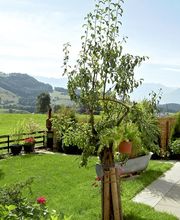 schapals immobilien Bild 11