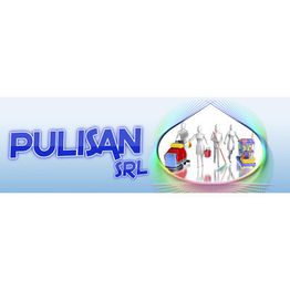 Pulisan Srl logo