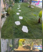 Expert Paysage 34 image 7