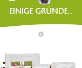 DOGS-HEART Bild 2