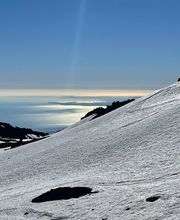 Tour in Rome immagine 9