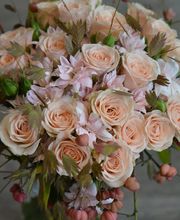 Marie Paolini image 5