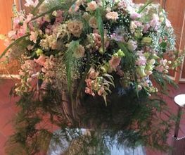Blumenhaus Keusch Bild 4