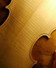 Thomas Billoux Luthier image 2