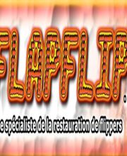 Flapflip image 1