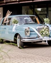 Blumen Ball GmbH Bild 1