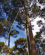 Beaudout Raphael image 16