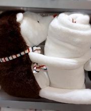 OKAIDI CUNEO CC GRANDE CUNEO immagine 5