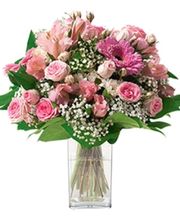 Entreprise Gérard Daudet image 4