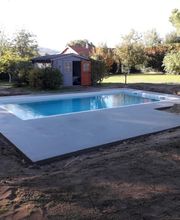 Basset Jean-Pierre image 3