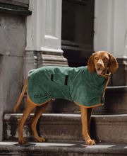 Les accessoires de Daisy image 5