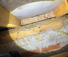 LRL 3D image 6