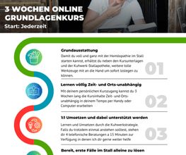Kuhwerk Nutztierhomöopathie Gubser Bild 4
