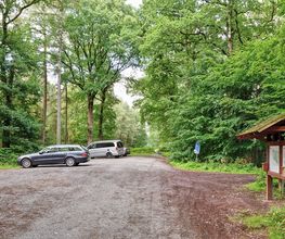 FriedWald Bremer Schweiz Bild 10