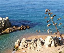 CAMPING ROCA GROSSA & BUNGALOW imagen 1