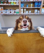 Northgate Animal Hospital image 6