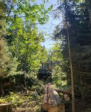 Entreprise forestière Daniel Ruch SA Bild 6