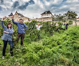 Weingut Erich Ferckel Bild 1