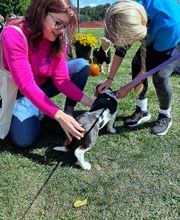 Spa Paw & Tail Premier Pet Resort image 12