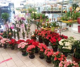 A la Fleur de Nice image 11