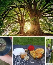 Reloaded Massagen Prävention Coaching Bild 6