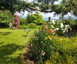 MM Gartenpflege GmbH Bild 4