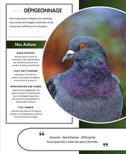 NOCIBILIS Désinfection Sàrl Bild 6