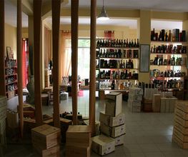 Gallery Cliente