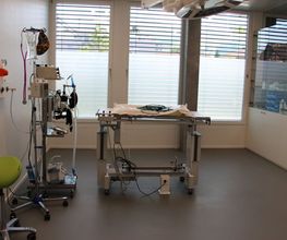 Kleintiermedizinisches Zentrum vet4pet Bild 11