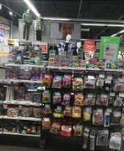 Orchestra MAUREPAS image 15