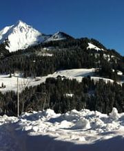 PIGUET STEPHANE SA Bild 5