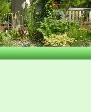 Kähler GartenBaumschule Bild 1