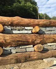 Pasinelli cura alberi Sagl Bild 8