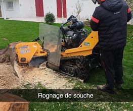 Heldebaume Elagage image 1