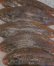 PESCABERBES, S.A. imagen 4