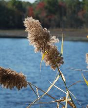 Bestattungsdienst Hedy Linder-Walther AG Bild 5