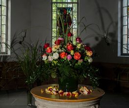 Blumen Götschi Bild 1