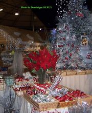 Jardinerie Villaverde image 19