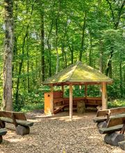 FriedWald Hasbruch Bild 14