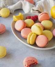 Leonidas Montgiscard image 9