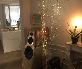 Presence Audio Conseil image 13