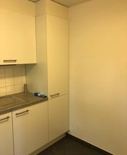 Basilisk Maler GmbH Bild 14