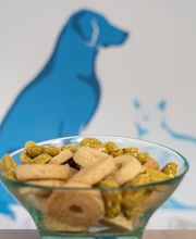 Tierarzt Schwerin, Kleintierzentrum Sieben Seen Schwerin Bild 6