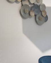 Mimoondo Palencia imagen 13