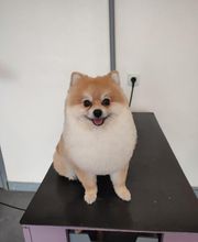 Tootsie image 12