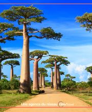 TW VOYAGES CARPENTRAS image 9