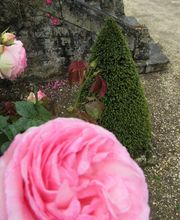 As des Jardins image 2