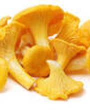 Küng + Steiner AG Bild 14