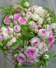 Anais Fleurs image 5