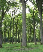 Brochet Frères SAS image 1